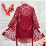 Soft lace transparent net robe and silk inner gown front view