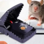 Heavy Duty Plastic Mouse Trap front view