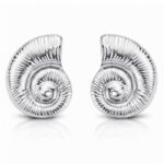 Stainless steel seashell stud earrings 2.3 by 3 cm on white background