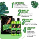 Lichen Professional Hair Color Gel 500ML packaging front view