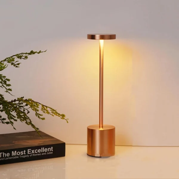 USB Rechargeable LED Desk Lamp with 3 Color Modes