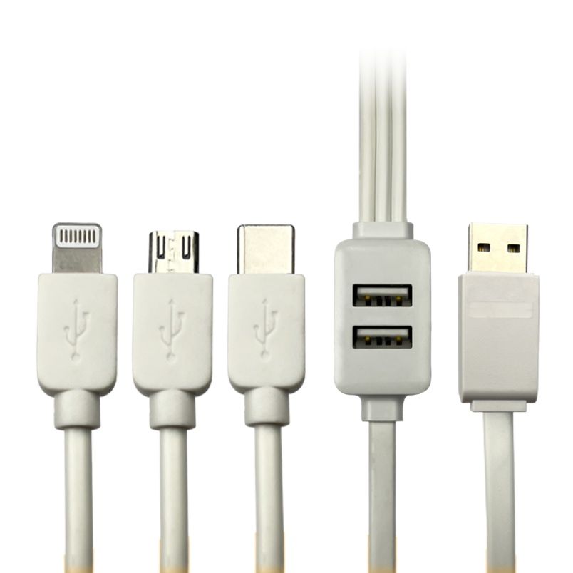 Vizo 5-in-1 Fast Charging Data Cable with 3 Plugs & 2 USB Ports