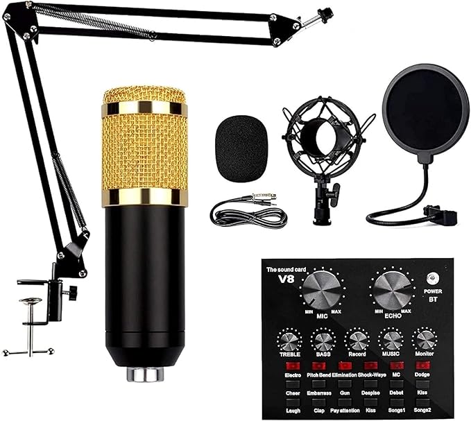 V8 BM-800 USB Podcast Microphone with Live Sound Card