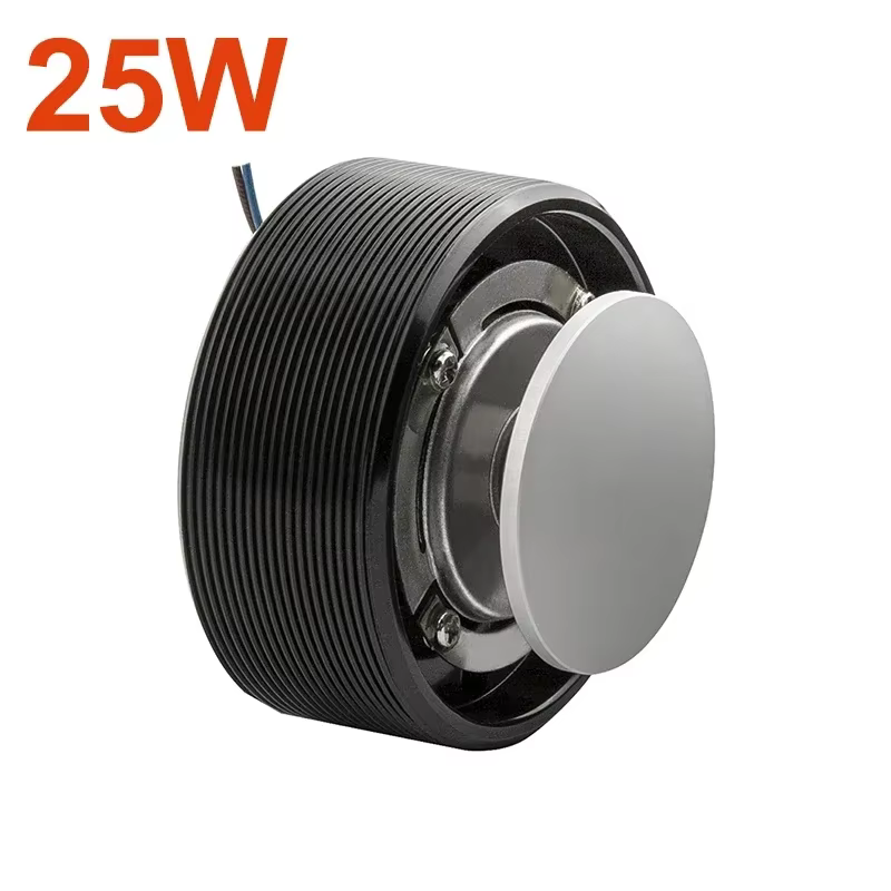 50mm 4ohm 25W Full-Range Vibration Speaker Loudspeaker