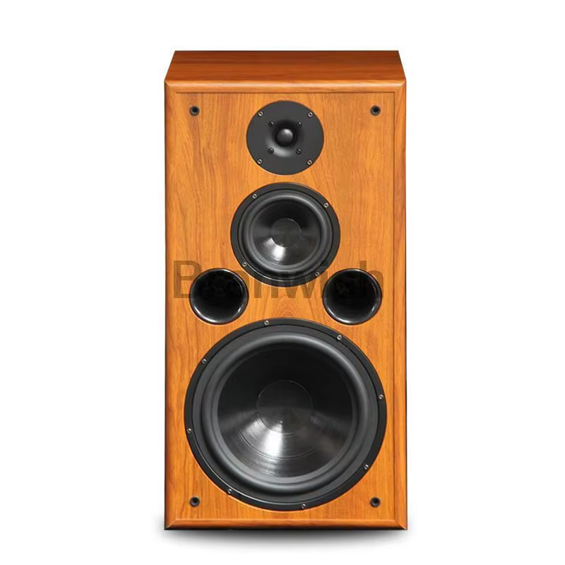 10 Inch 200W Bookshelf Speaker 6 Ohm Silk Tweeter F109