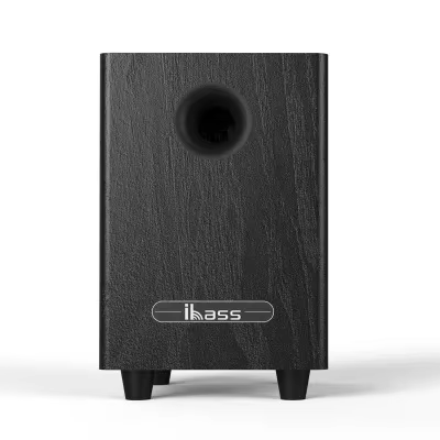 100W 6.5" Passive Subwoofer Speaker for Home and Car
