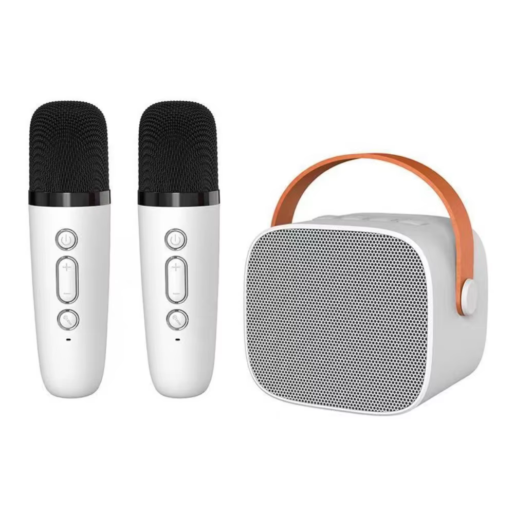 Portable Mini Bluetooth Karaoke Speaker with Dual Mics