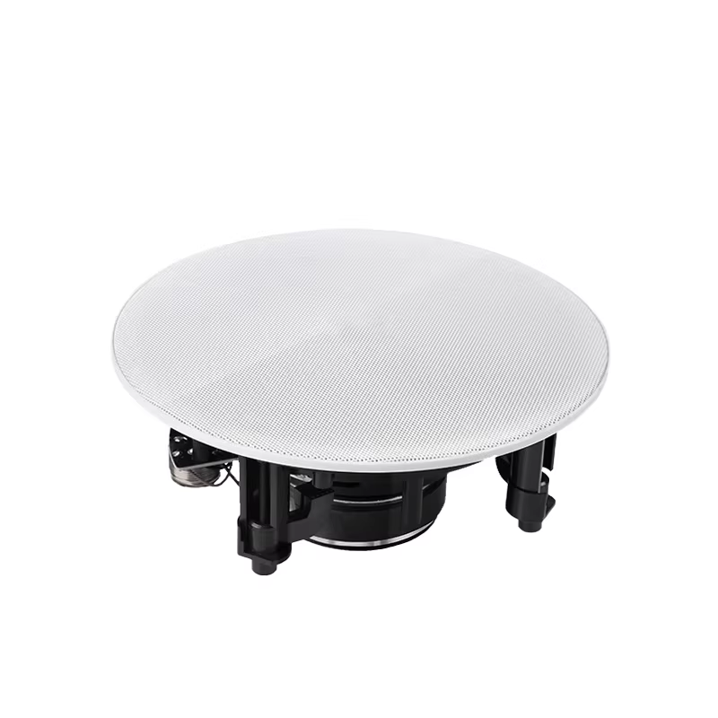 5 Inch 30W 8 Ohm Passive Ceiling Speaker for Home Audio