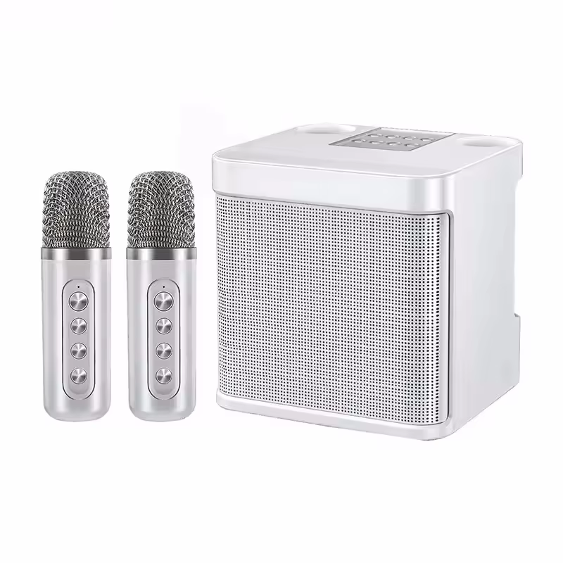 AyeBeau Portable Bluetooth Karaoke Speaker with Mics