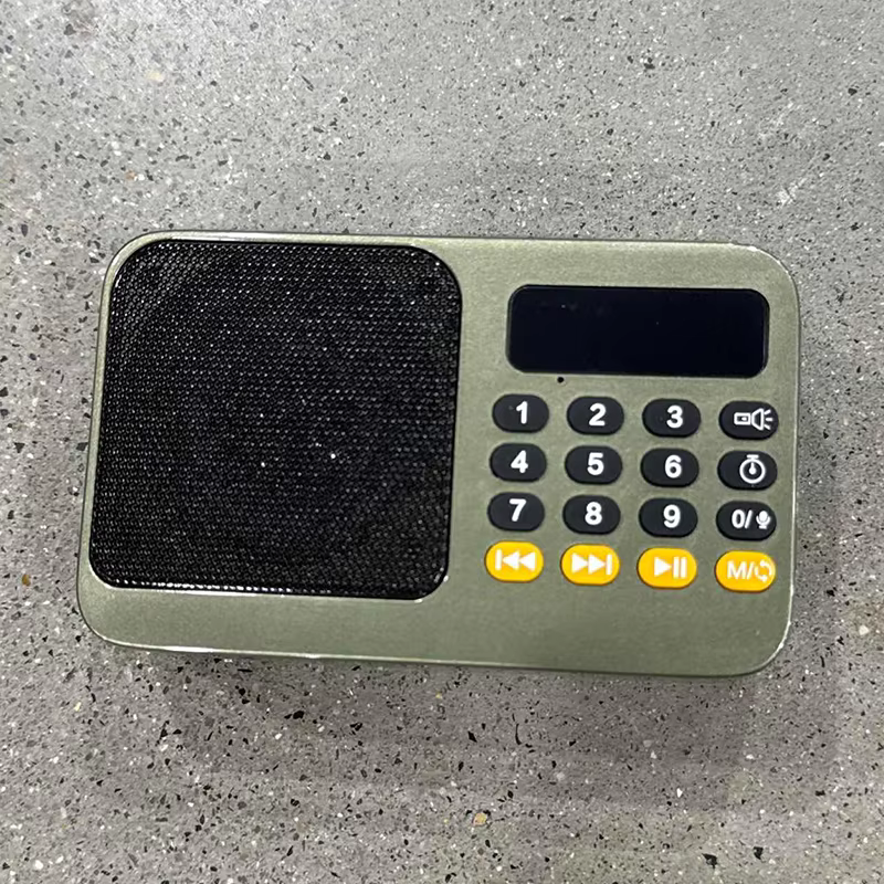 Portable Bluetooth 5.0 Speaker with FM Radio and Recording
