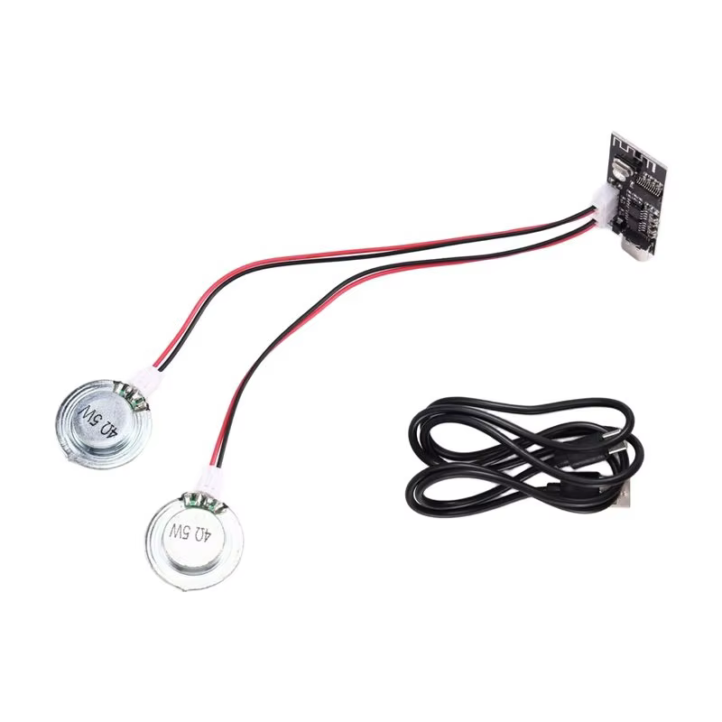 BTLIFE 4Ohm 5W DIY Bone Conduction Bluetooth Speaker