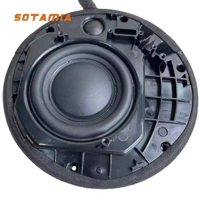 SOTAMIA 3.5 Inch Woofer 1 Inch Tweeter 20W Loudspeaker