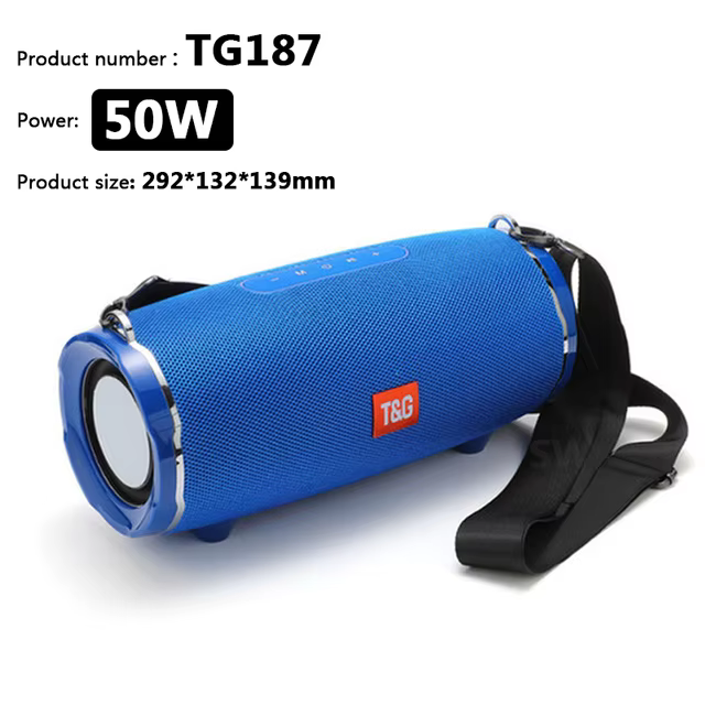T&G TG-187 Portable Bluetooth Speaker with FM Radio