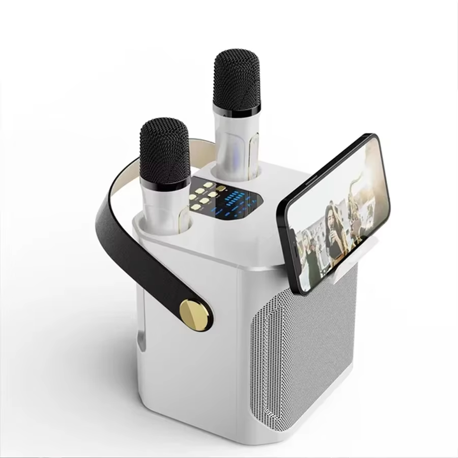 Portable Wireless Karaoke Bluetooth Speaker with Microphones