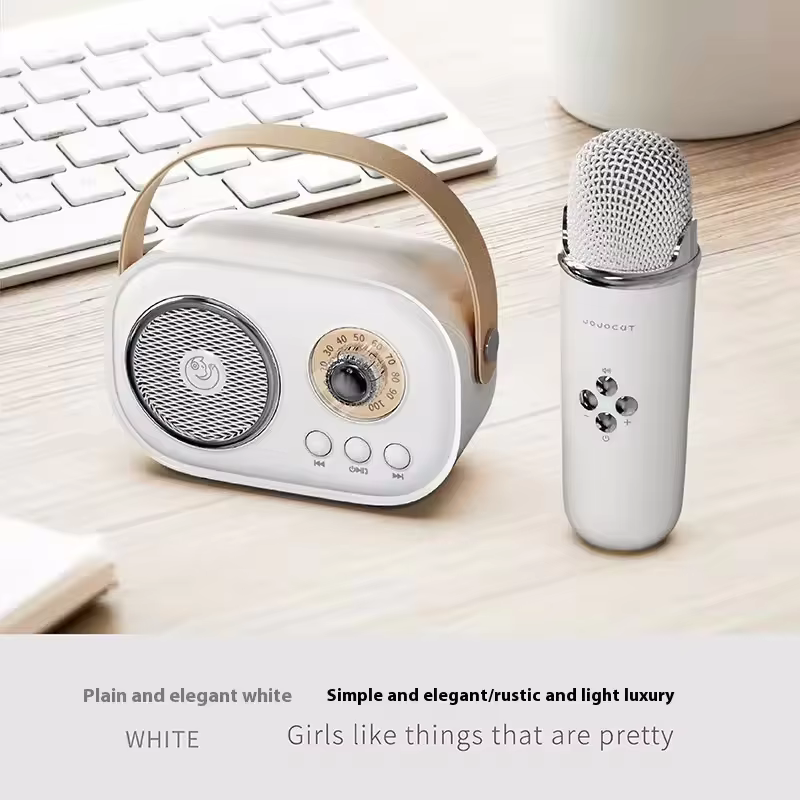 Portable Bluetooth Karaoke Speaker with Wireless Microphone