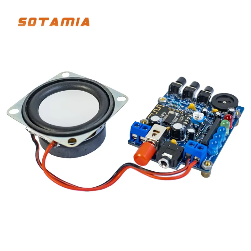 SOTAMIA Bluetooth Portable Speaker DIY Kit with Amplifier