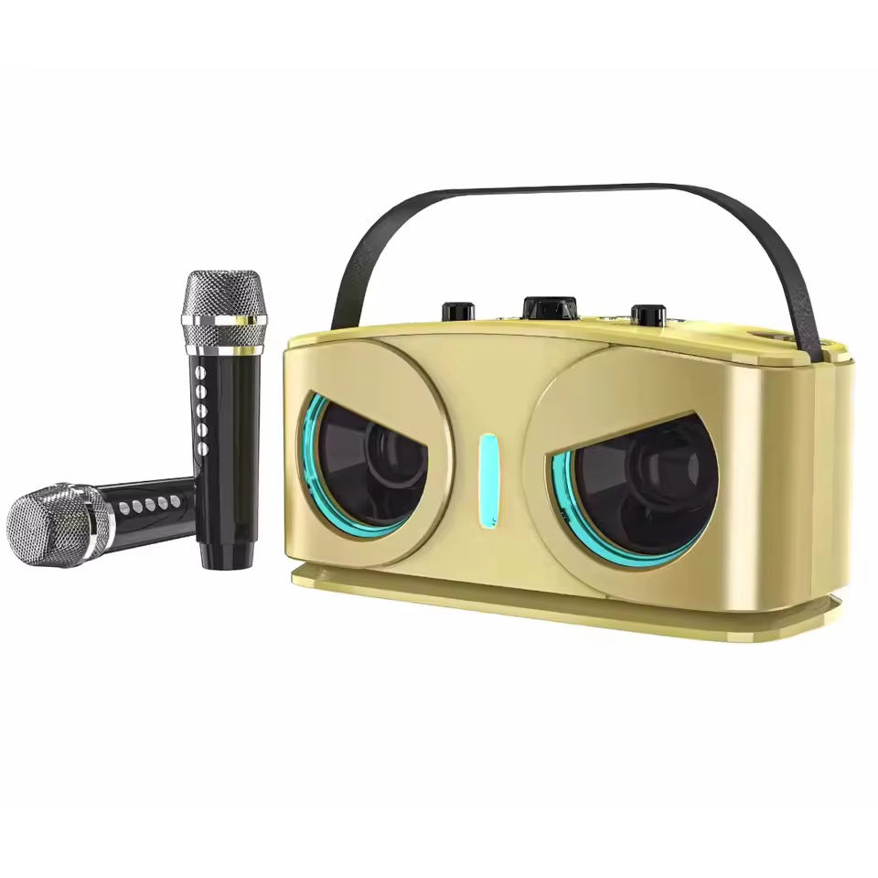 AyeBeau HY-3317 Portable Bluetooth Karaoke Speaker with Dual Mics