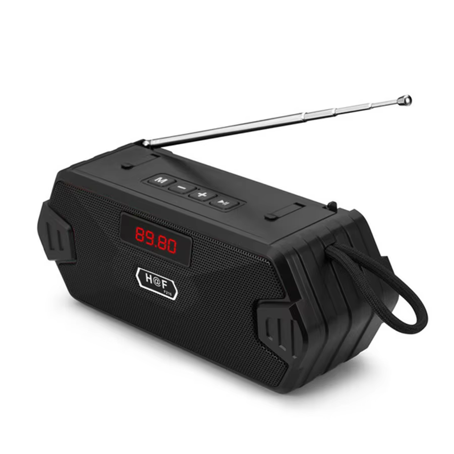 Portable Bluetooth FM Radio Speaker with Subwoofer Bass