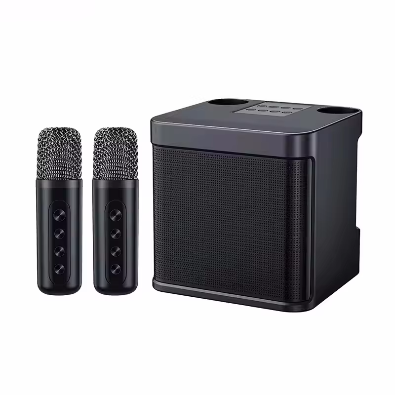 Portable Karaoke Bluetooth Speaker with Dual Microphones
