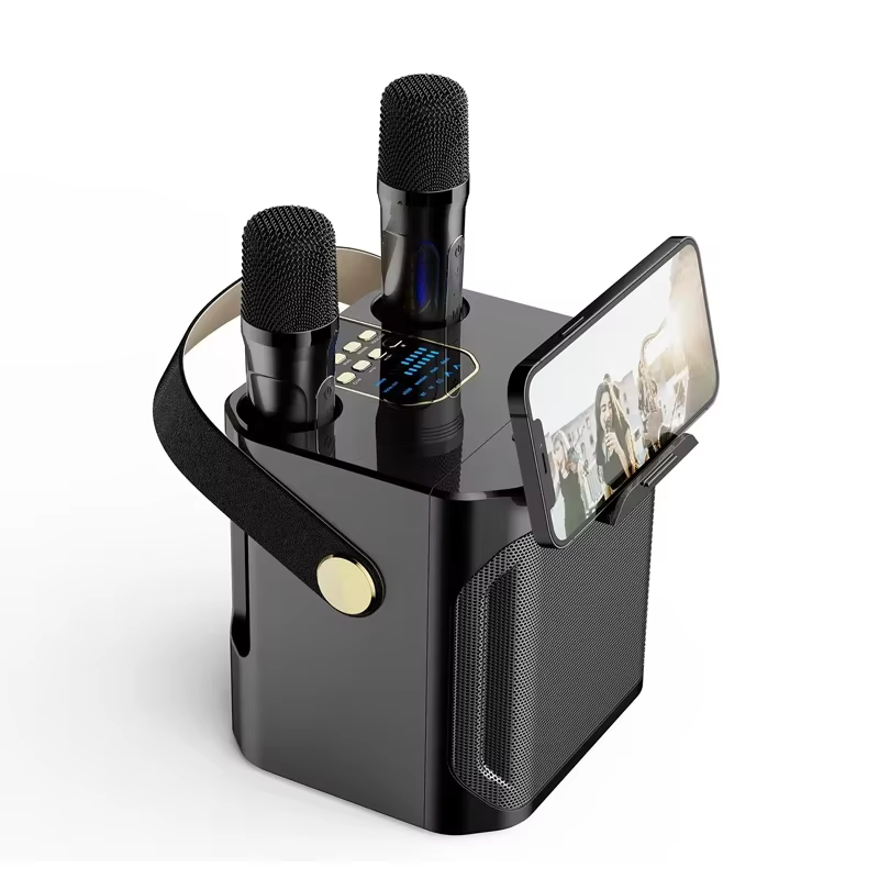 VIKEFON Portable Bluetooth Dual Microphone Karaoke Speaker