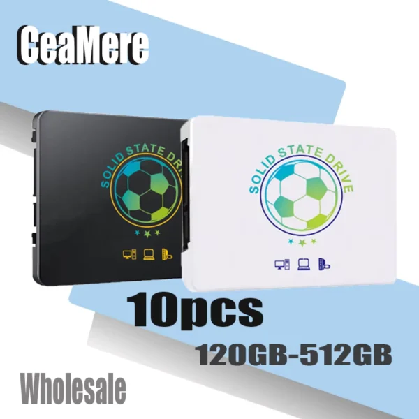 Ceamere 10PCS SATA III 2.5" SSD Lot 120GB–512GB