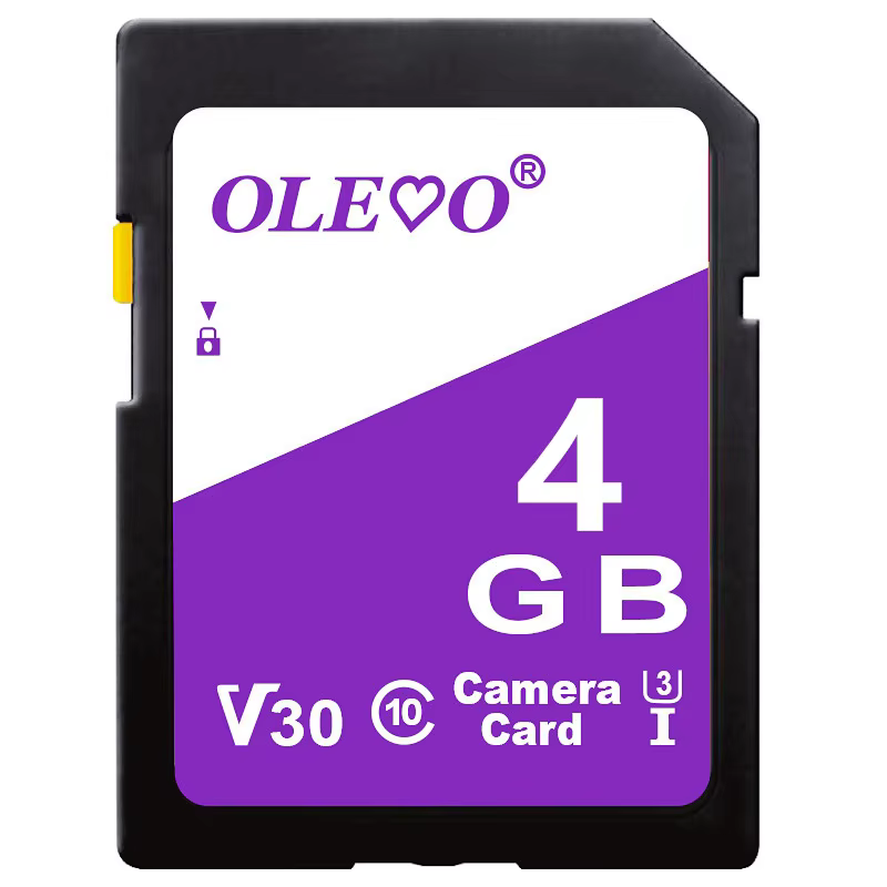 olevo 64GB SD Card Class 10 High-Speed Storage