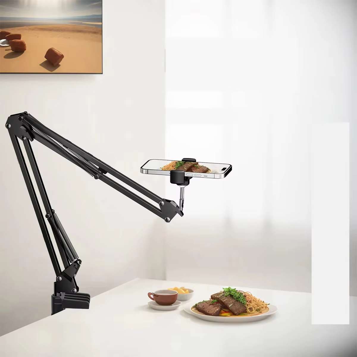Professional Mobile Phone Live Stand with Overhead Lighting
