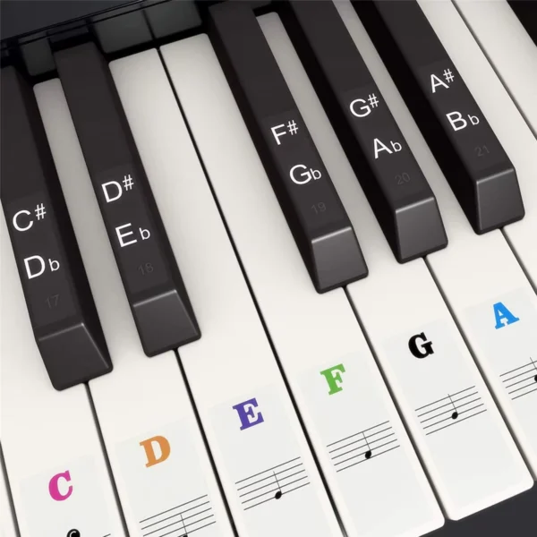 Piano Keyboard Stickers for 37-88 Keys White and Black