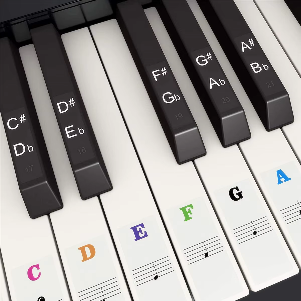 Piano Keyboard Stickers for 37-88 Keys White and Black